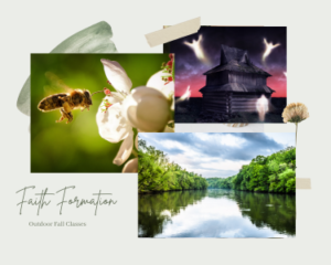 Photo collage consisting of a river, bee pollinating a flower and a haunted house. These are representative of the Fall programs for children and youth