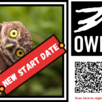 Owl QR Code