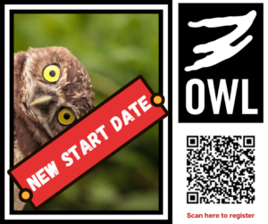 Owl QR Code