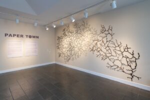 Photo of an exhibition called Paper Town by artist May Babcock. Her work Ebb and Flow IX maps the Nashua River Watershed while incorporating the invasive plants that grow in that area.