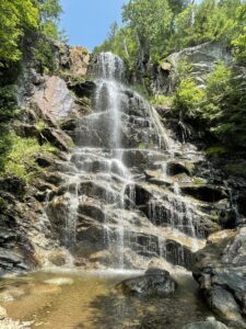 Photo of waterfall surrounded by green trees