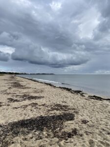Photo of a beach on a cloudy, grey day