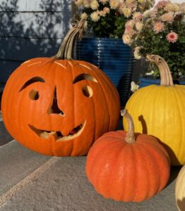 Photo of a yellow pumpkin and two orange pumpkins, one of them with a face carved into it. Mums in the background.