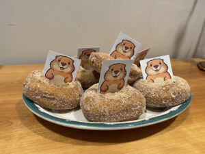 Photo of paper groundhog cutouts sticking out of donuts