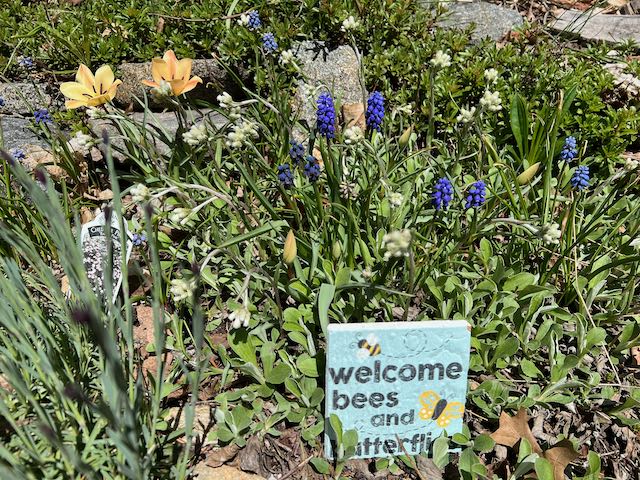 Photo of North Parish garden with flowers beginning to bloom and a small sign that reads "Welcome bees and butterflies"