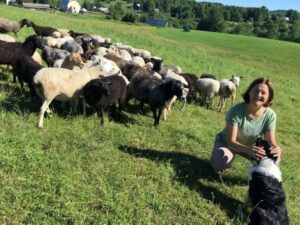 Rev. Lee with dog and sheep in a field