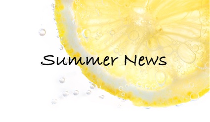 Lemon slice with sparkling bubbles - Summer News